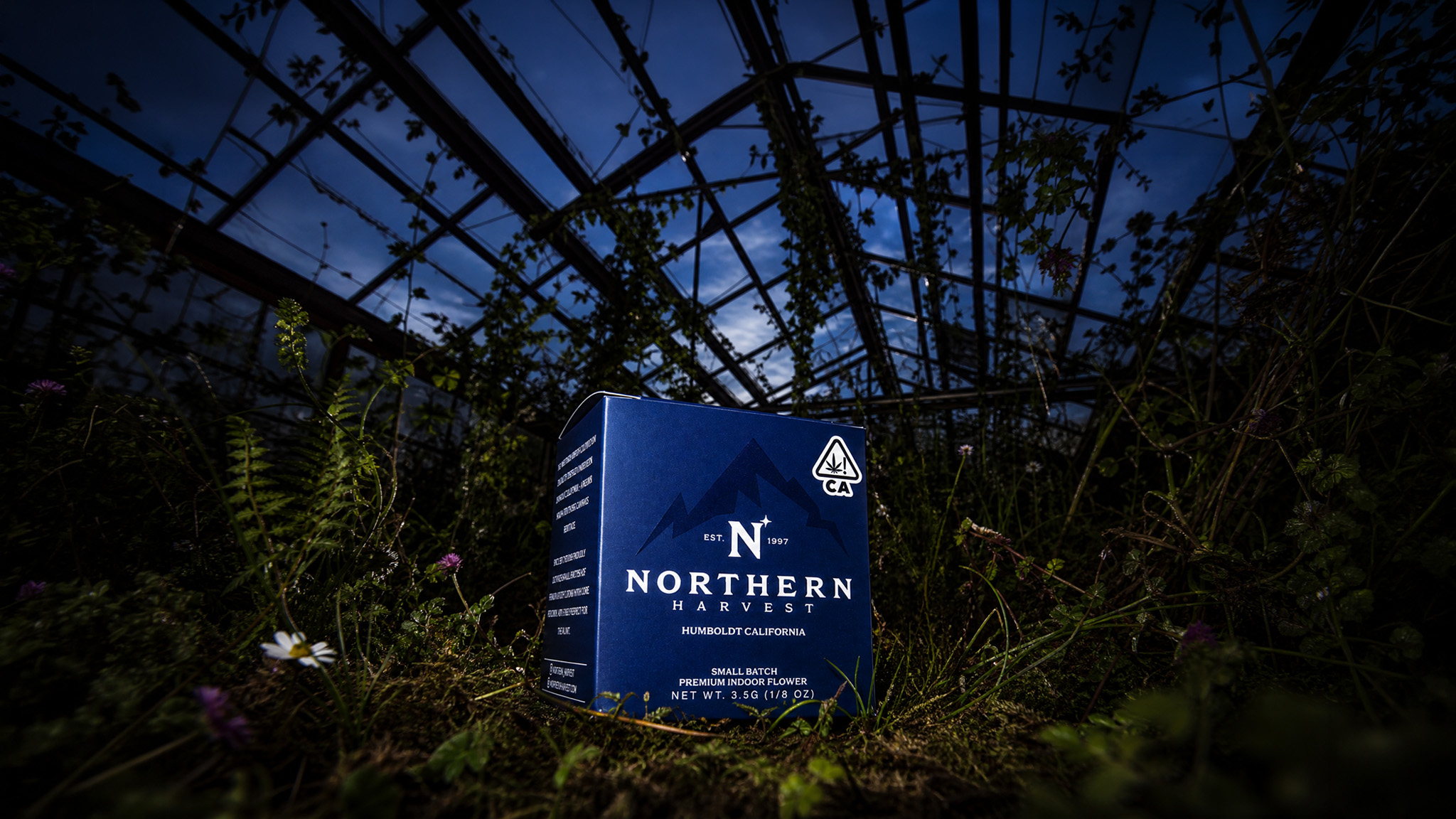 Northern Harvest case study preview