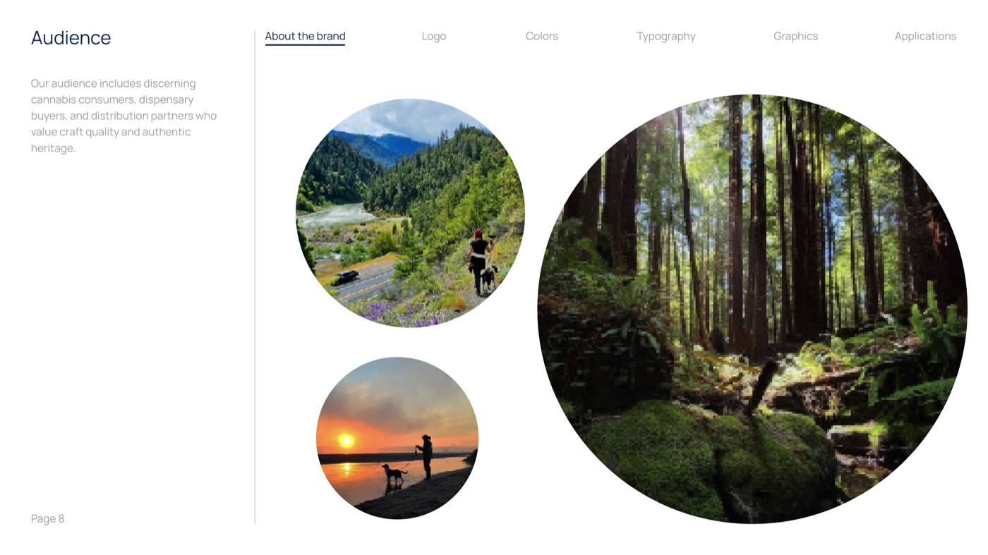 Brand Guidelines 09