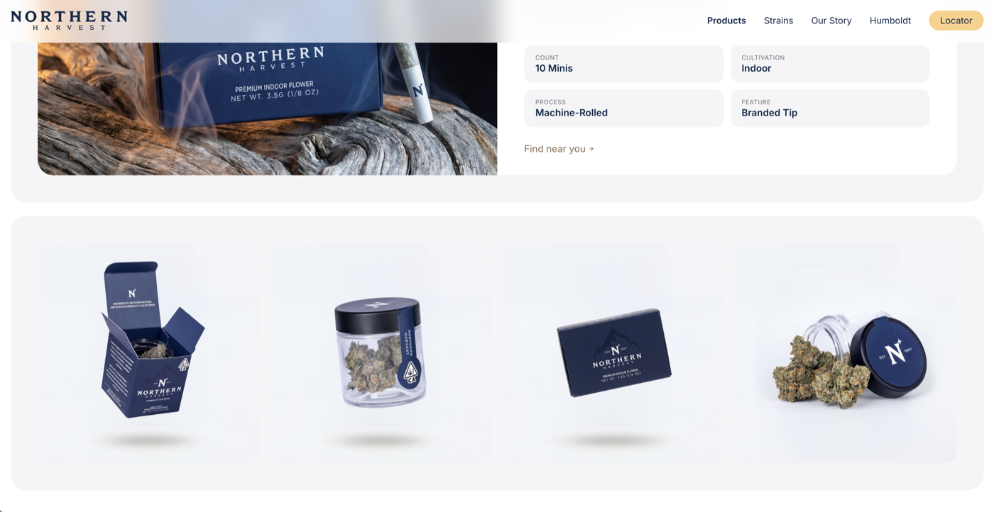Website 06