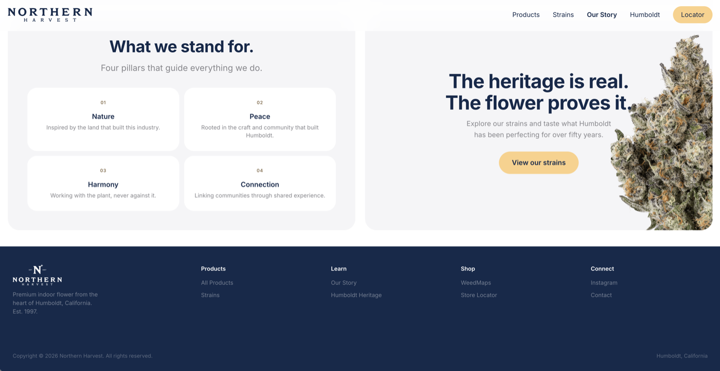 Website 13